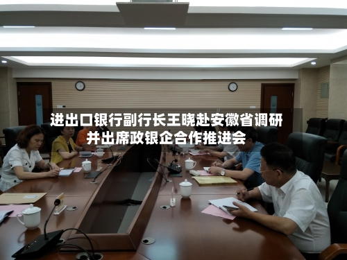 进出口银行副行长王晓赴安徽省调研并出席政银企合作推进会-第3张图片