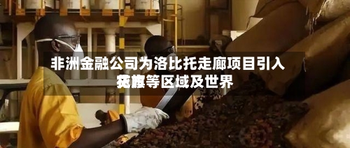 非洲金融公司为洛比托走廊项目引入花旗等区域及世界贷方-第1张图片