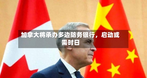 加拿大将承办多边防务银行，启动或需时日-第1张图片
