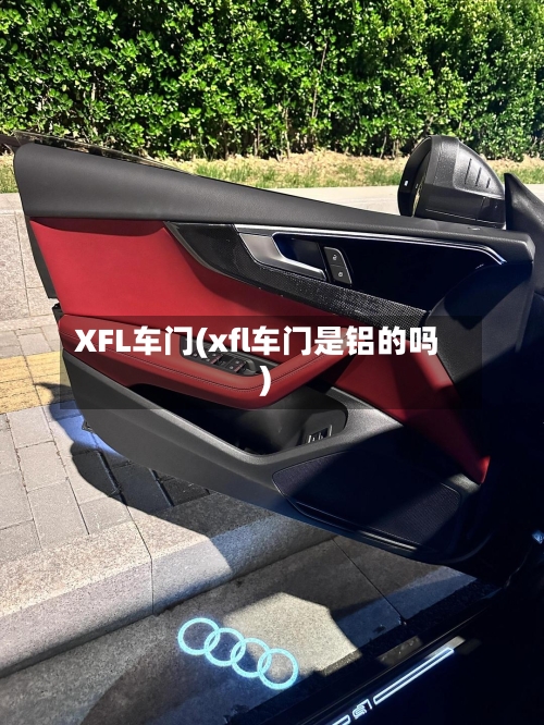 XFL车门(xfl车门是铝的吗)-第3张图片