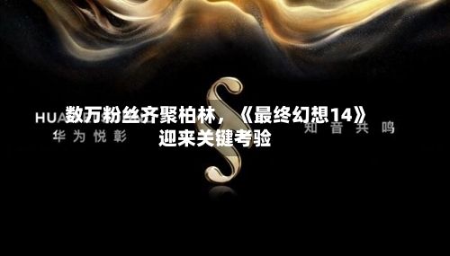 数万粉丝齐聚柏林，《最终幻想14》迎来关键考验-第1张图片
