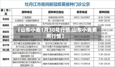 【山东小麦1月30号行情,山东小麦费用行情】-第1张图片