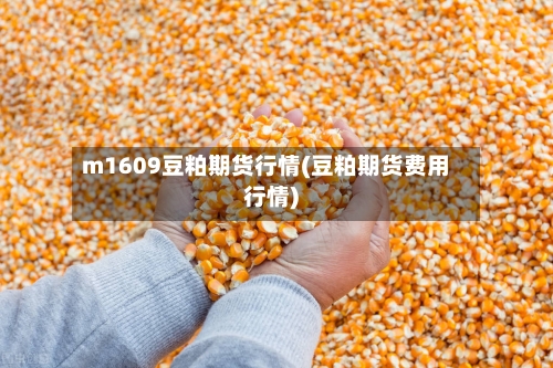 m1609豆粕期货行情(豆粕期货费用行情)-第1张图片