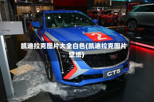 凯迪拉克图片大全白色(凯迪拉克图片 壁纸)-第3张图片