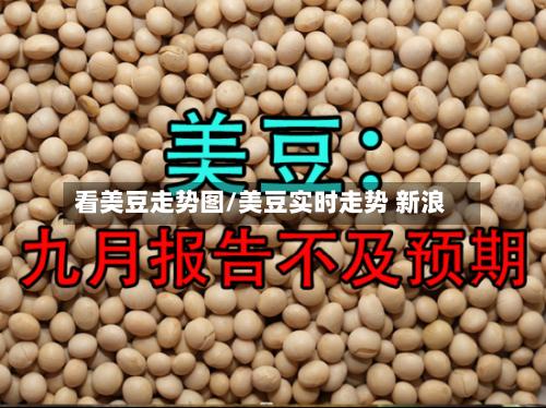 看美豆走势图/美豆实时走势 新浪-第1张图片