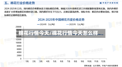 棉花行情今天/棉花行情今天怎么样-第1张图片