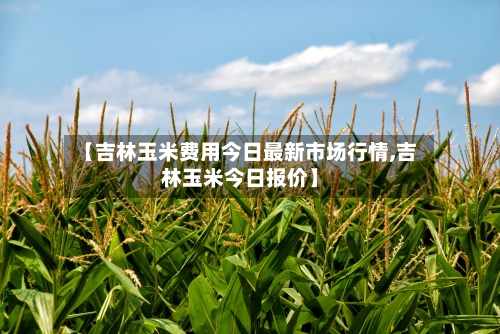 【吉林玉米费用今日最新市场行情,吉林玉米今日报价】-第1张图片