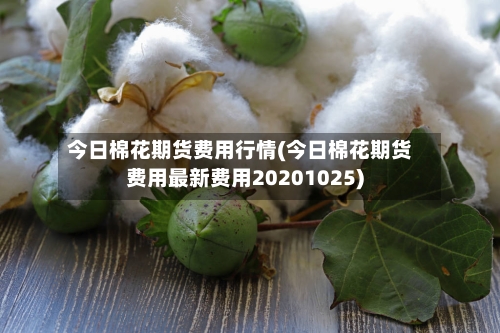 今日棉花期货费用行情(今日棉花期货费用最新费用20201025)-第1张图片