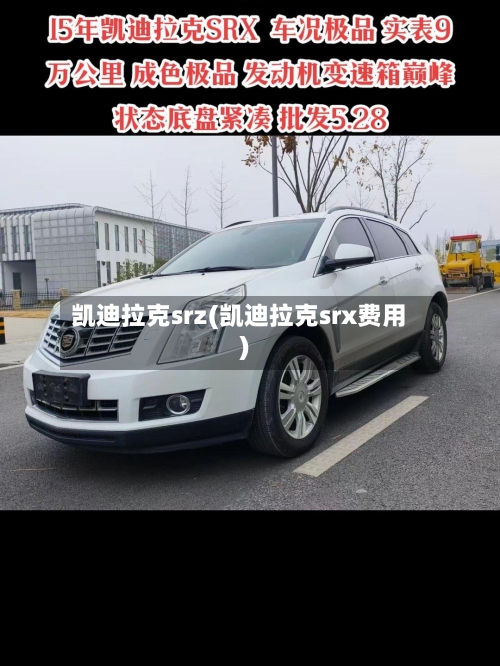 凯迪拉克srz(凯迪拉克srx费用)-第1张图片