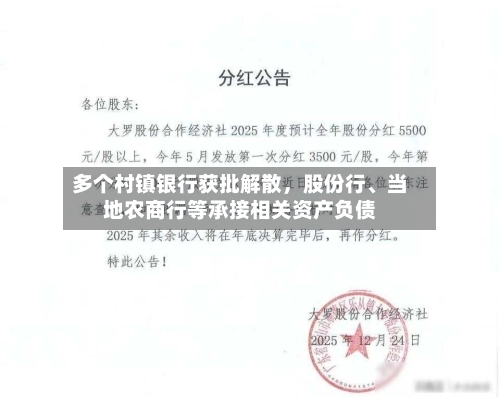 多个村镇银行获批解散，股份行、当地农商行等承接相关资产负债-第2张图片