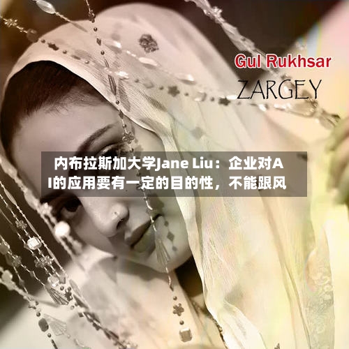 内布拉斯加大学Jane Liu：企业对AI的应用要有一定的目的性	，不能跟风-第1张图片