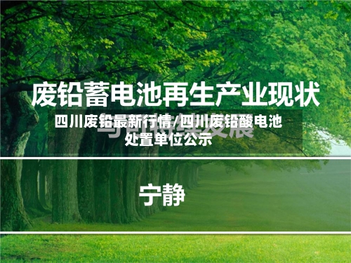 四川废铅最新行情/四川废铅酸电池处置单位公示-第2张图片