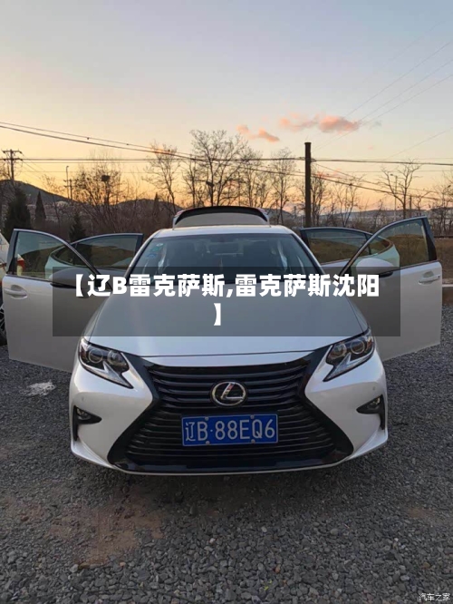【辽B雷克萨斯,雷克萨斯沈阳】-第2张图片