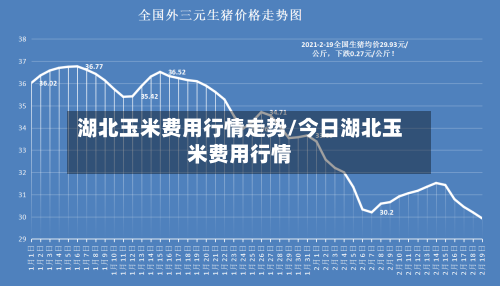 湖北玉米费用行情走势/今日湖北玉米费用行情-第3张图片