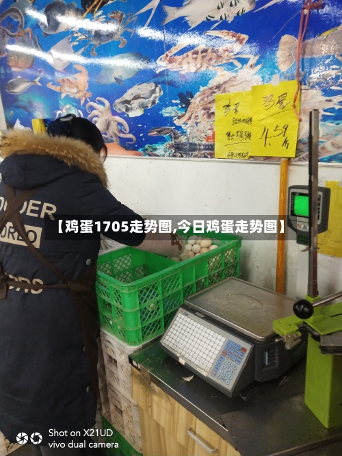 【鸡蛋1705走势图,今日鸡蛋走势图】-第2张图片