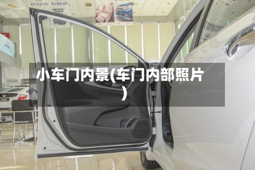 小车门内景(车门内部照片)-第2张图片