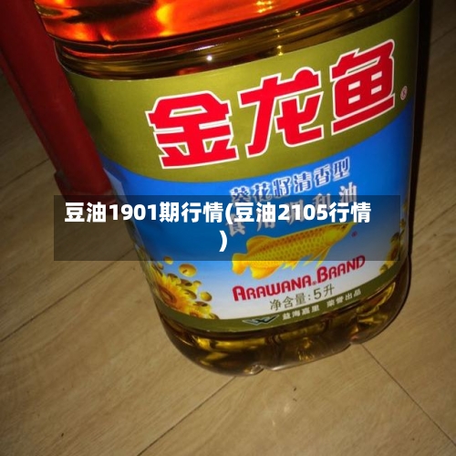 豆油1901期行情(豆油2105行情)-第3张图片