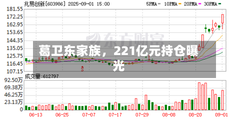 葛卫东家族，221亿元持仓曝光-第2张图片