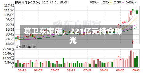 葛卫东家族，221亿元持仓曝光-第1张图片