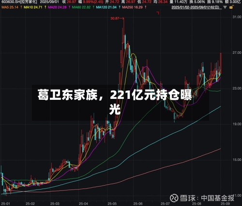 葛卫东家族，221亿元持仓曝光-第3张图片