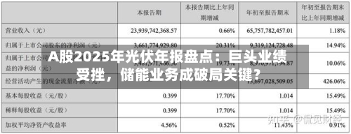 A股2025年光伏年报盘点：巨头业绩受挫，储能业务成破局关键？-第3张图片
