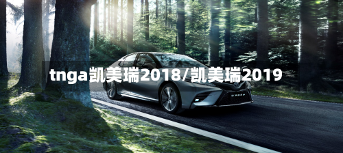 tnga凯美瑞2018/凯美瑞2019-第1张图片