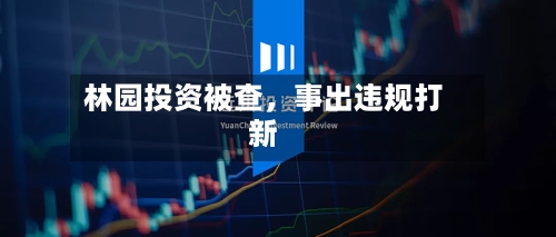 林园投资被查，事出违规打新-第1张图片