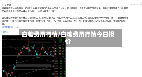 白糖费用行情/白糖费用行情今日报价-第3张图片