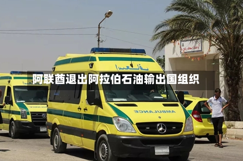 阿联酋退出阿拉伯石油输出国组织-第2张图片
