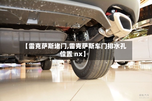【雷克萨斯堵门,雷克萨斯车门排水孔位置 nx】-第3张图片
