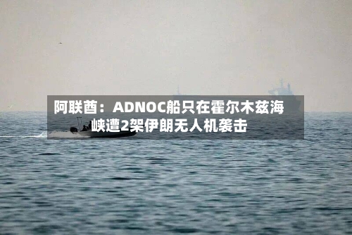 阿联酋：ADNOC船只在霍尔木兹海峡遭2架伊朗无人机袭击-第1张图片