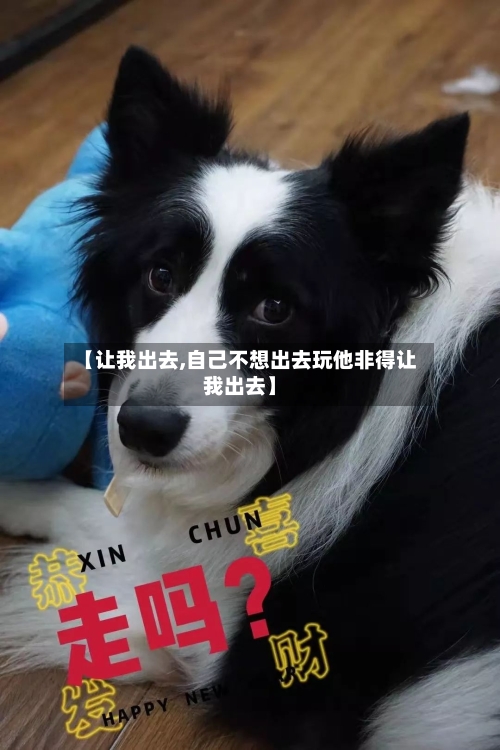 【让我出去,自己不想出去玩他非得让我出去】-第1张图片