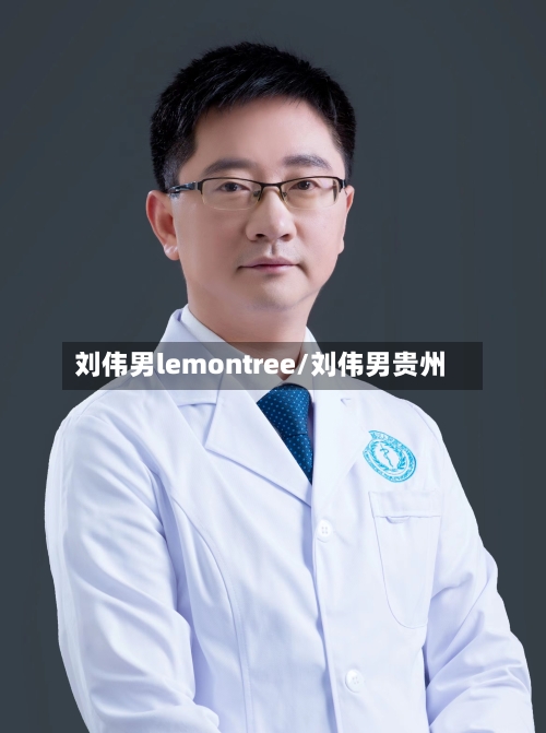 刘伟男lemontree/刘伟男贵州-第2张图片