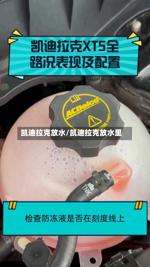 凯迪拉克放水/凯迪拉克放水里-第1张图片