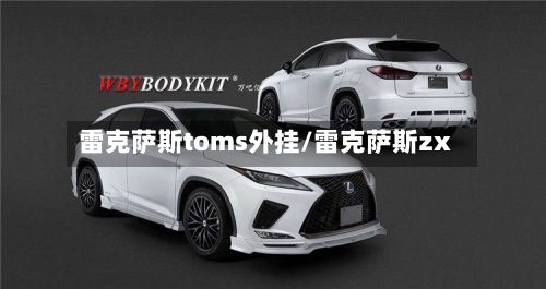 雷克萨斯toms外挂/雷克萨斯zx-第2张图片