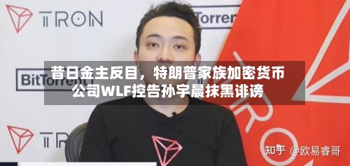 昔日金主反目，特朗普家族加密货币公司WLF控告孙宇晨抹黑诽谤-第1张图片