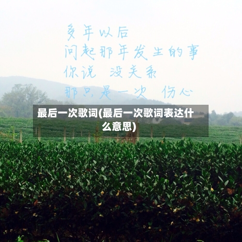 最后一次歌词(最后一次歌词表达什么意思)-第2张图片