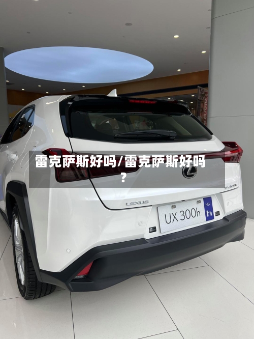 雷克萨斯好吗/雷克萨斯好吗?-第1张图片