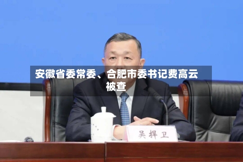 安徽省委常委、合肥市委书记费高云被查-第1张图片
