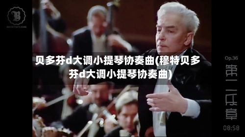 贝多芬d大调小提琴协奏曲(穆特贝多芬d大调小提琴协奏曲)-第2张图片