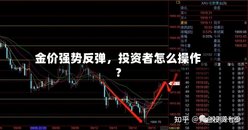 金价强势反弹，投资者怎么操作？-第2张图片
