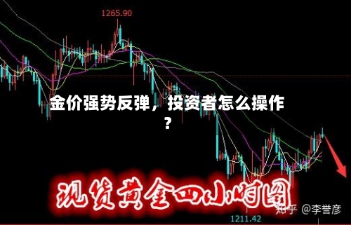 金价强势反弹	，投资者怎么操作？-第3张图片