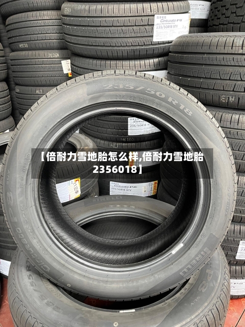 【倍耐力雪地胎怎么样,倍耐力雪地胎2356018】-第3张图片