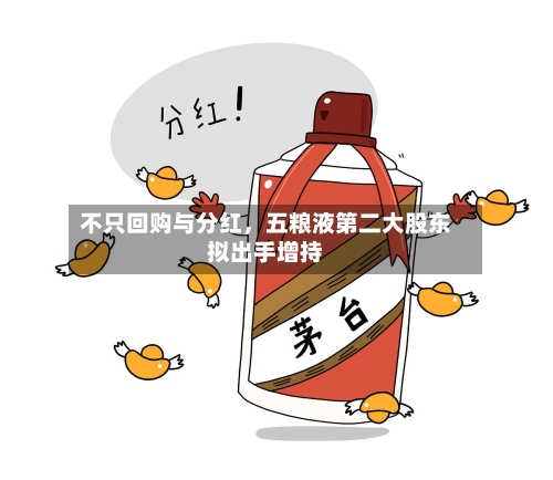 不只回购与分红	，五粮液第二大股东拟出手增持-第2张图片