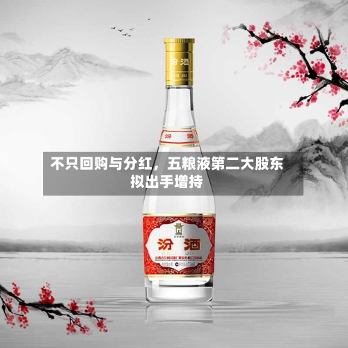 不只回购与分红	，五粮液第二大股东拟出手增持-第1张图片