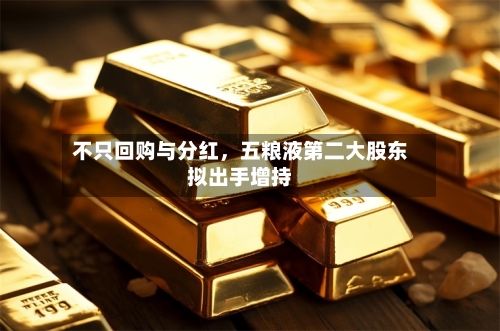 不只回购与分红，五粮液第二大股东拟出手增持-第3张图片