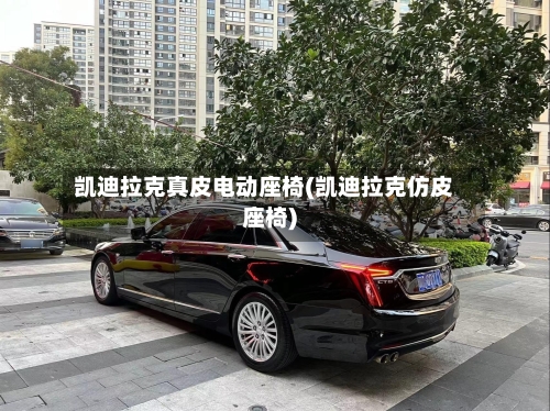 凯迪拉克真皮电动座椅(凯迪拉克仿皮座椅)-第2张图片