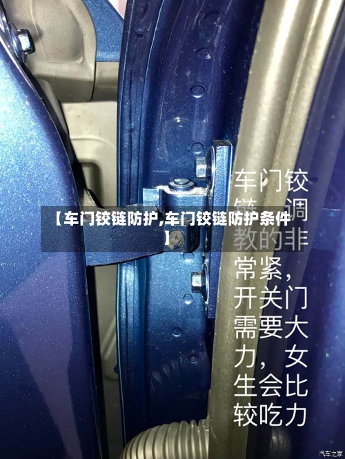 【车门铰链防护,车门铰链防护条件】-第2张图片