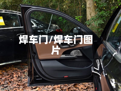 焊车门/焊车门图片-第1张图片