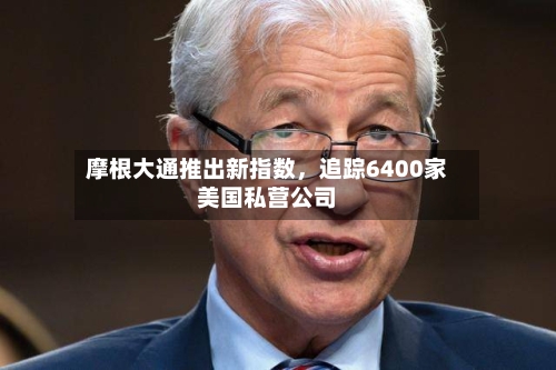 摩根大通推出新指数，追踪6400家美国私营公司-第3张图片